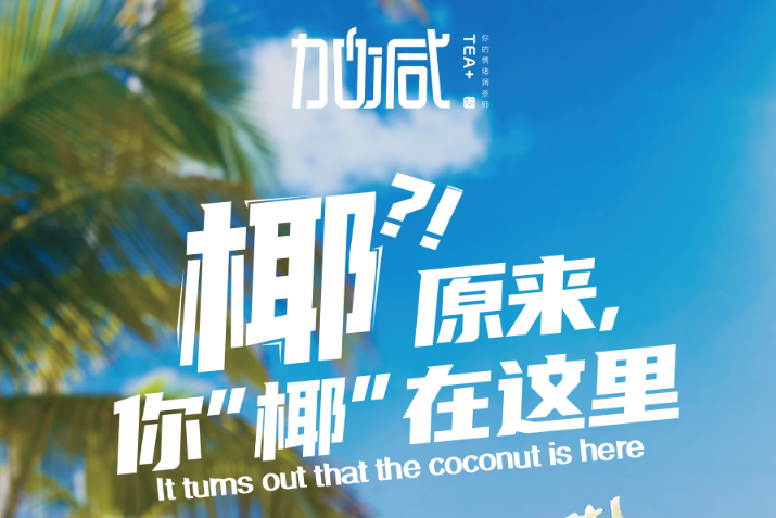 DB多宝视讯椰子系列新品火爆上市